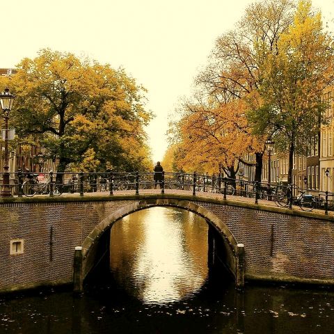 Autumn in Amsterdam