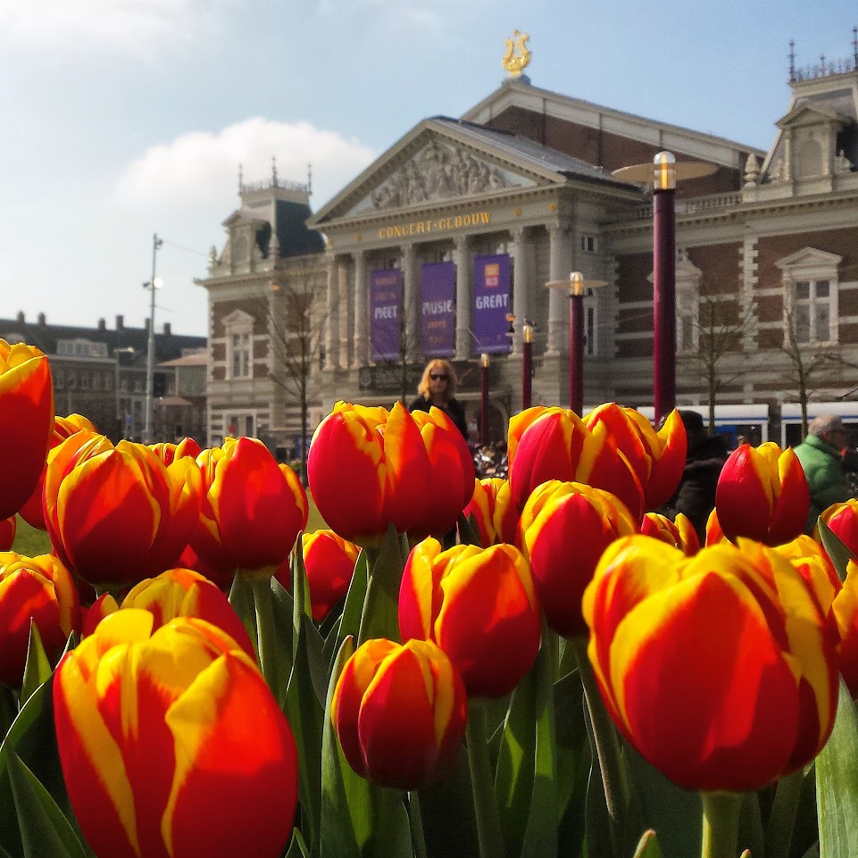 Things to do in Amsterdam in 2023? Historical Amsterdam Tours